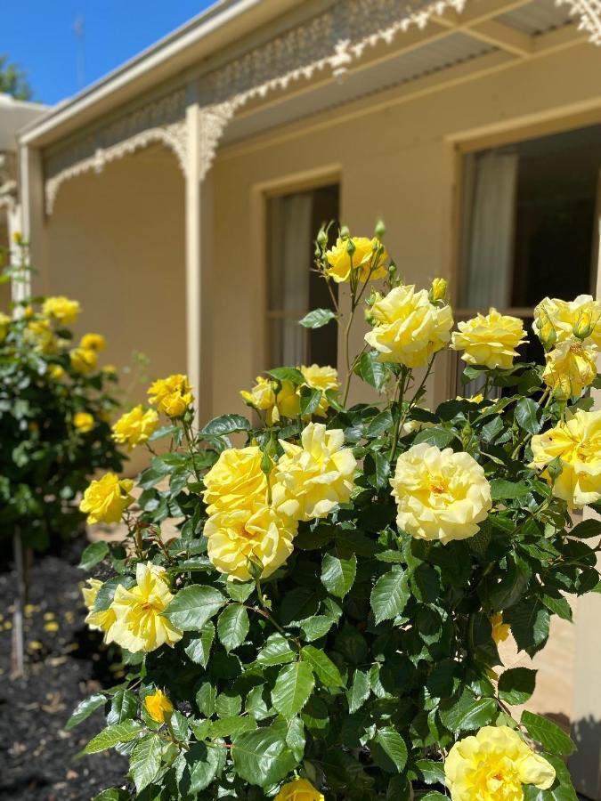 Acacia Terraces Aparthotel Echuca Exterior foto