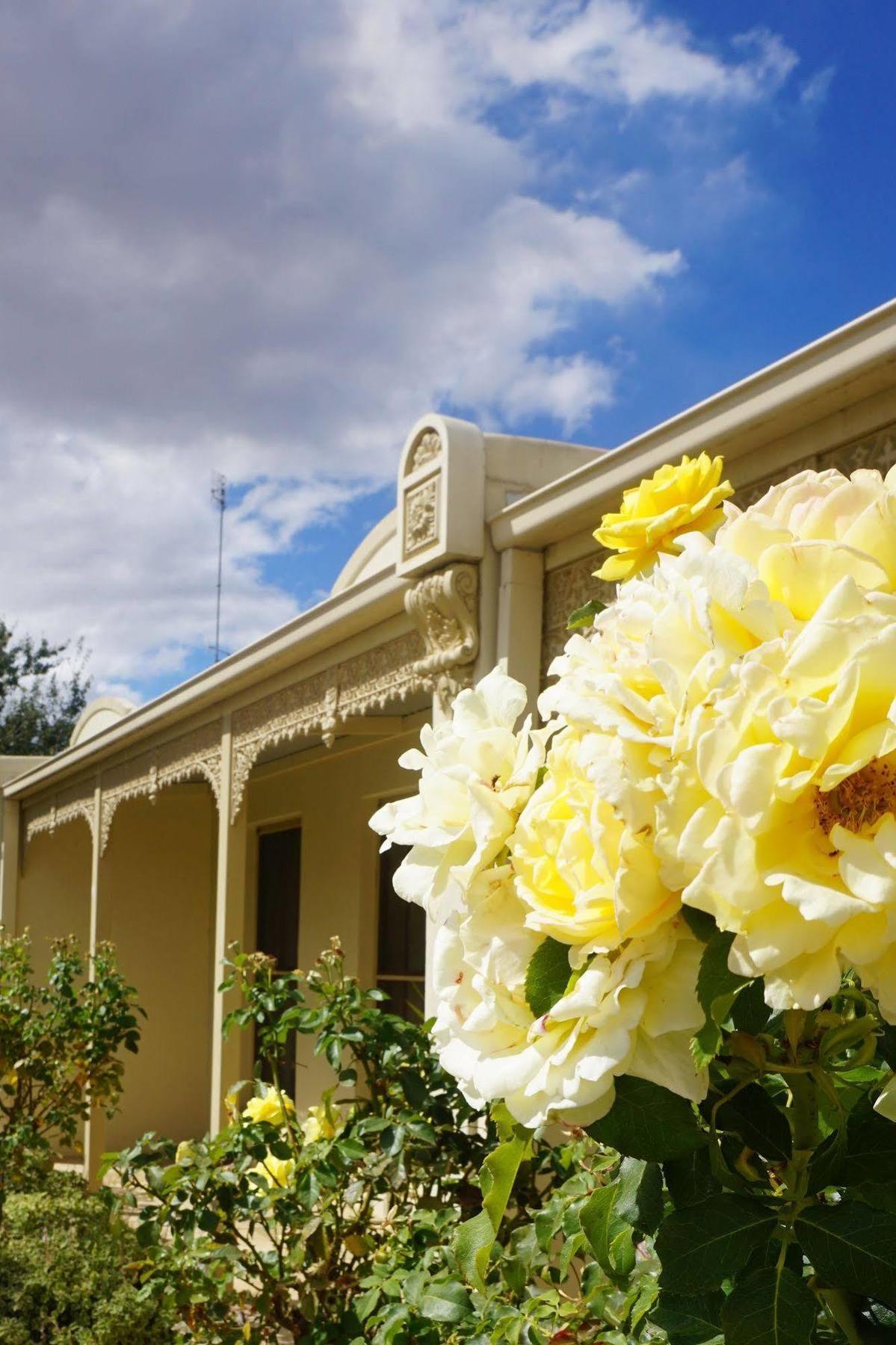 Acacia Terraces Aparthotel Echuca Exterior foto